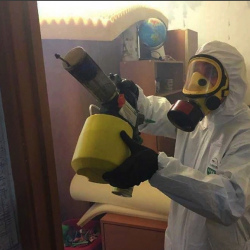 Уничтожение клопов в квартире. Георгиевск